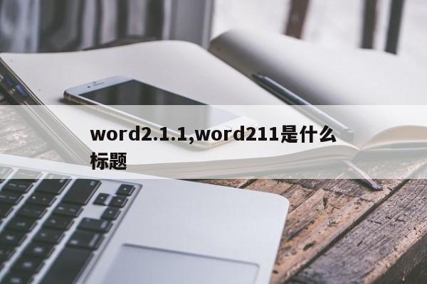 word2.1.1,word211是什么标题