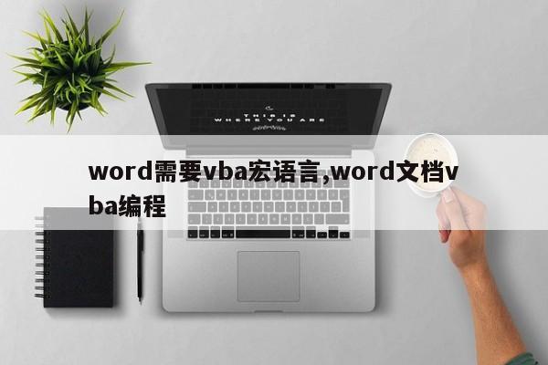 word需要vba宏语言,word文档vba编程